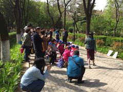 素描-山东大学(趵突泉校区)