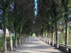 -毛泽东才溪乡调查旧址景区