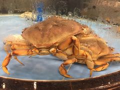-岭南海晏楼(滨江东总店)