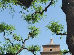 -大慈恩寺(大雁塔)