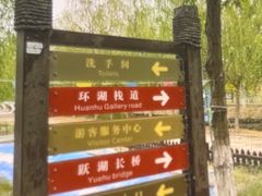 -西青郊野公园