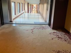 -中家鑫园温泉酒店-自助餐