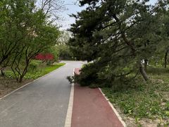 -望湖公园