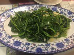 番薯叶-阿殳菜馆·私厨(水围村店)