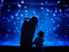 -多彩贵州城极地海洋世界