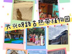 -呀路古热带植物园