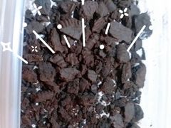 奥利奥千层盒子-壹心榴莲千层蛋糕甜品店