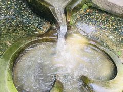 -成都市活水公园