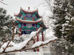 -滨河世纪广场公园