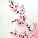 你的桃花来了吗[亲亲]