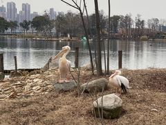 -武汉动物园