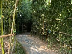 -竹子庵公园