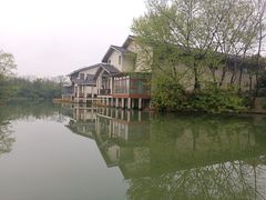 -西溪国家湿地公园