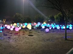 -锦江乐园舞狸花花游园会(夜场专享)