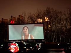 -枫花园汽车电影院(朝阳公园店)