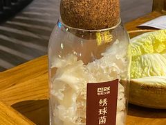 -巴奴毛肚火锅(九洲店)
