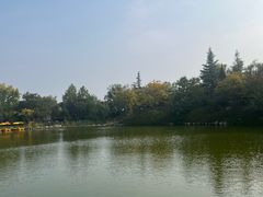 -大槐树寻根祭祖园