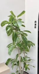-CHANGE 美发烫染沙龙
