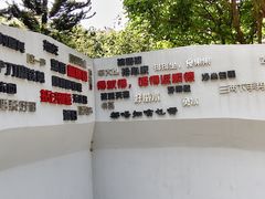 -顺峰山公园