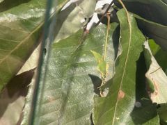 -昆山招商花园城