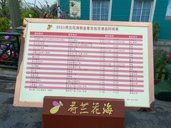 -荷兰花海