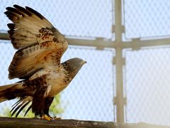 iphone_upload_pic-西安秦岭野生动物园