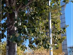 -金港秋名山·双层卡丁车场