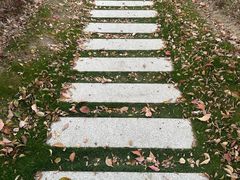 -徐家汇源景区-衡山公园