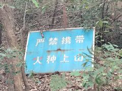 -杭州半山国家森林公园