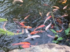 -惠州金海湾嘉华度假酒店