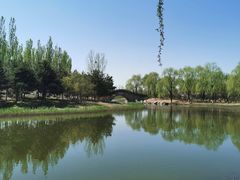 -大兴滨河森林公园