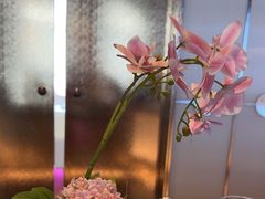 -俏江南天津时尚曲艺主题餐厅(马场道店)