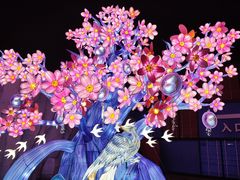 -海合安武汉极地海洋公园