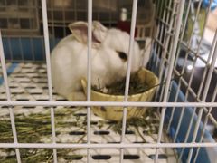 -雨林宠物医院 非犬猫异宠专科