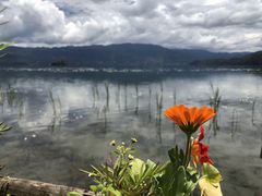 -泸沽湖里格半岛