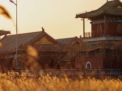 -东堤公园