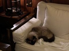 -域SPA·足疗·按摩·养生(静安寺店)