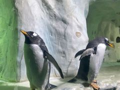 -南昌海洋公园