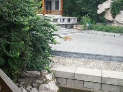-南普公园