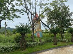 -美的鹭湖森林度假区