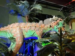 -恐龙探索乐园(磁器口店)