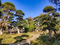 -武汉紫薇都市田园