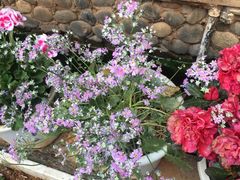 -浔岚云舍mist静谧观景美宿(丽江古城店)