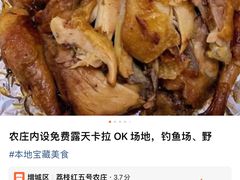 -荔枝红五号农庄