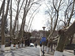 -T80科技文化国际社区-停车场