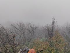 -山王坪喀斯特国家生态公园