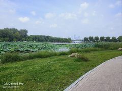 -长春市南湖公园