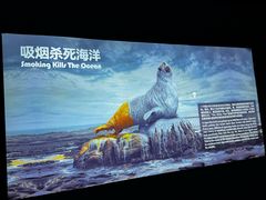 -重庆欢乐海底世界