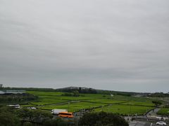 -雪绿茶博物馆