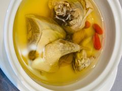 西洋参枸杞炖老鸽-花锦堂·隐庐